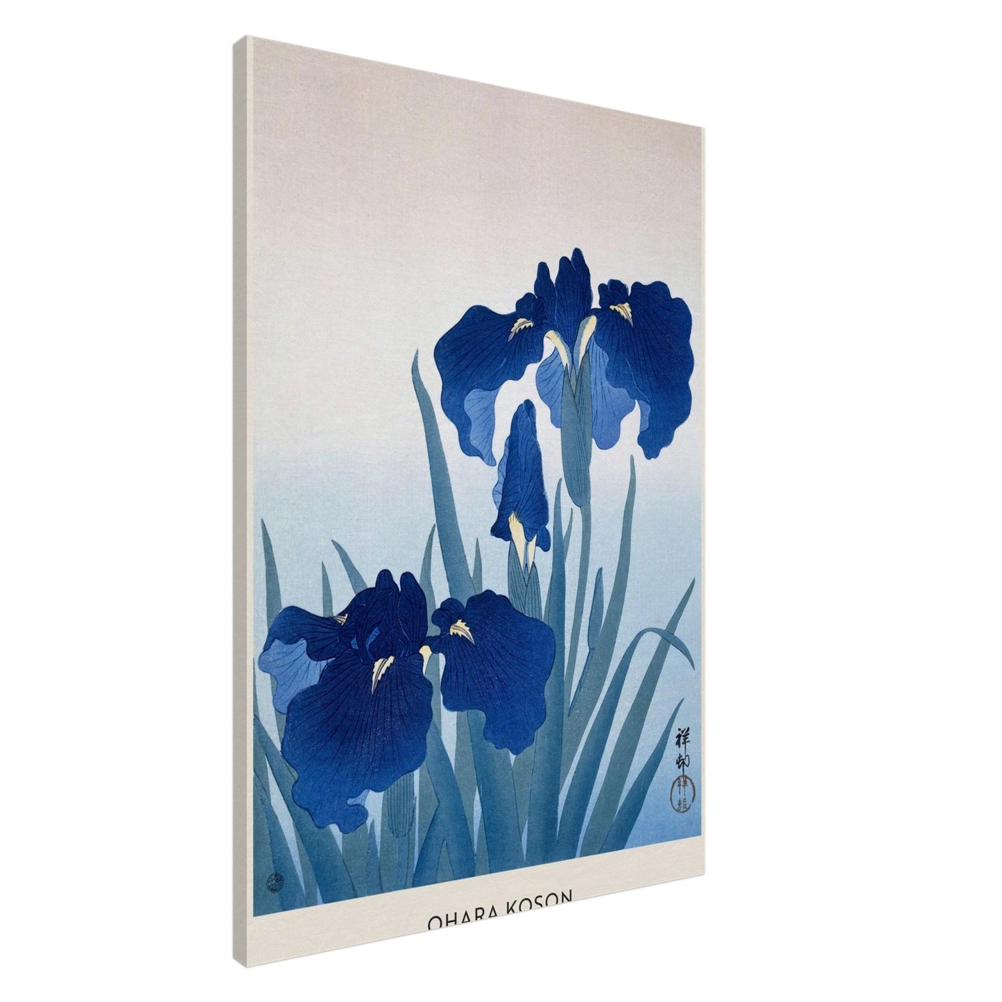 Fiori di Iris - Ohara Koson - Canvas thick