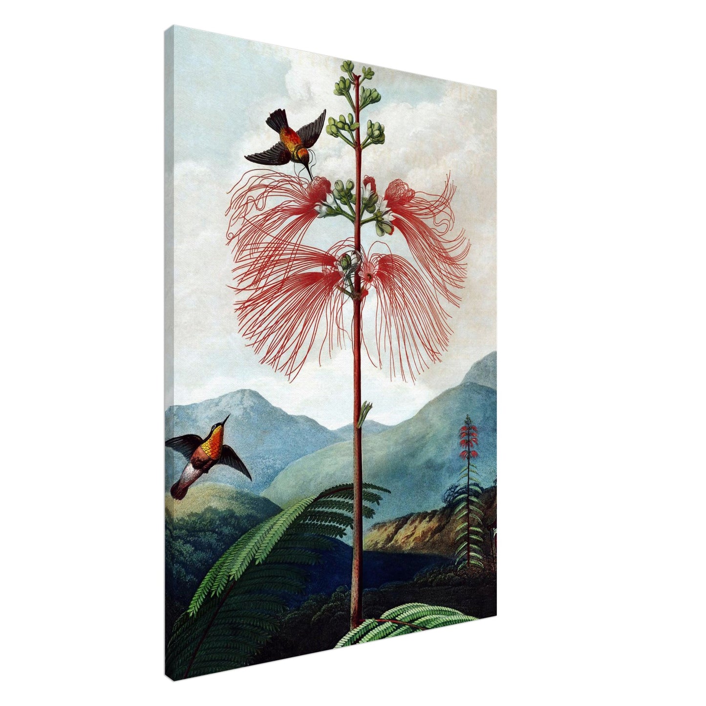 Pianta Sensibile Fiorita Grande - Canvas thick