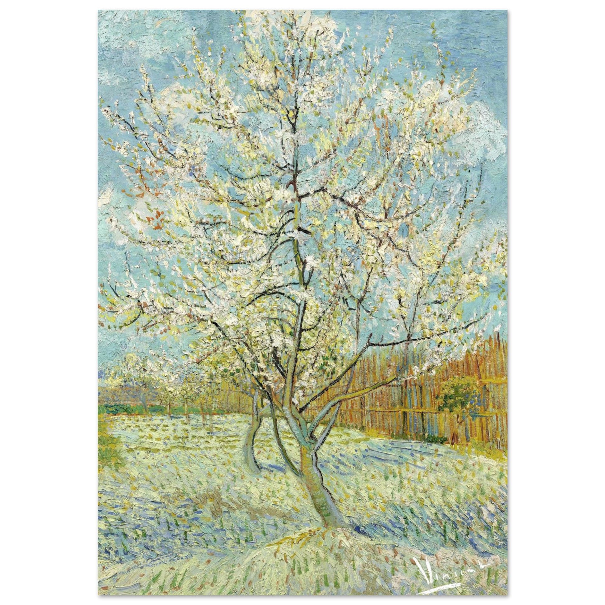 L'Albero di Pesca Rosa - Vincent van Gogh - Poster senza cornice