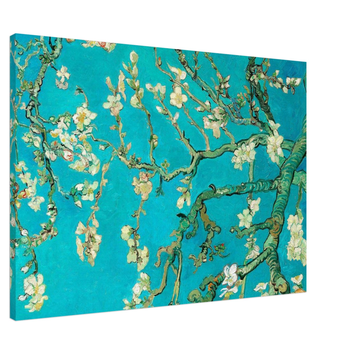 Fioritura di Mandorlo - Vincent van Gogh - Canvas thick