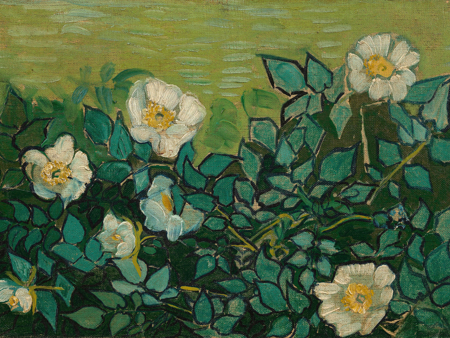 Wild Roses - Vincent van Gogh