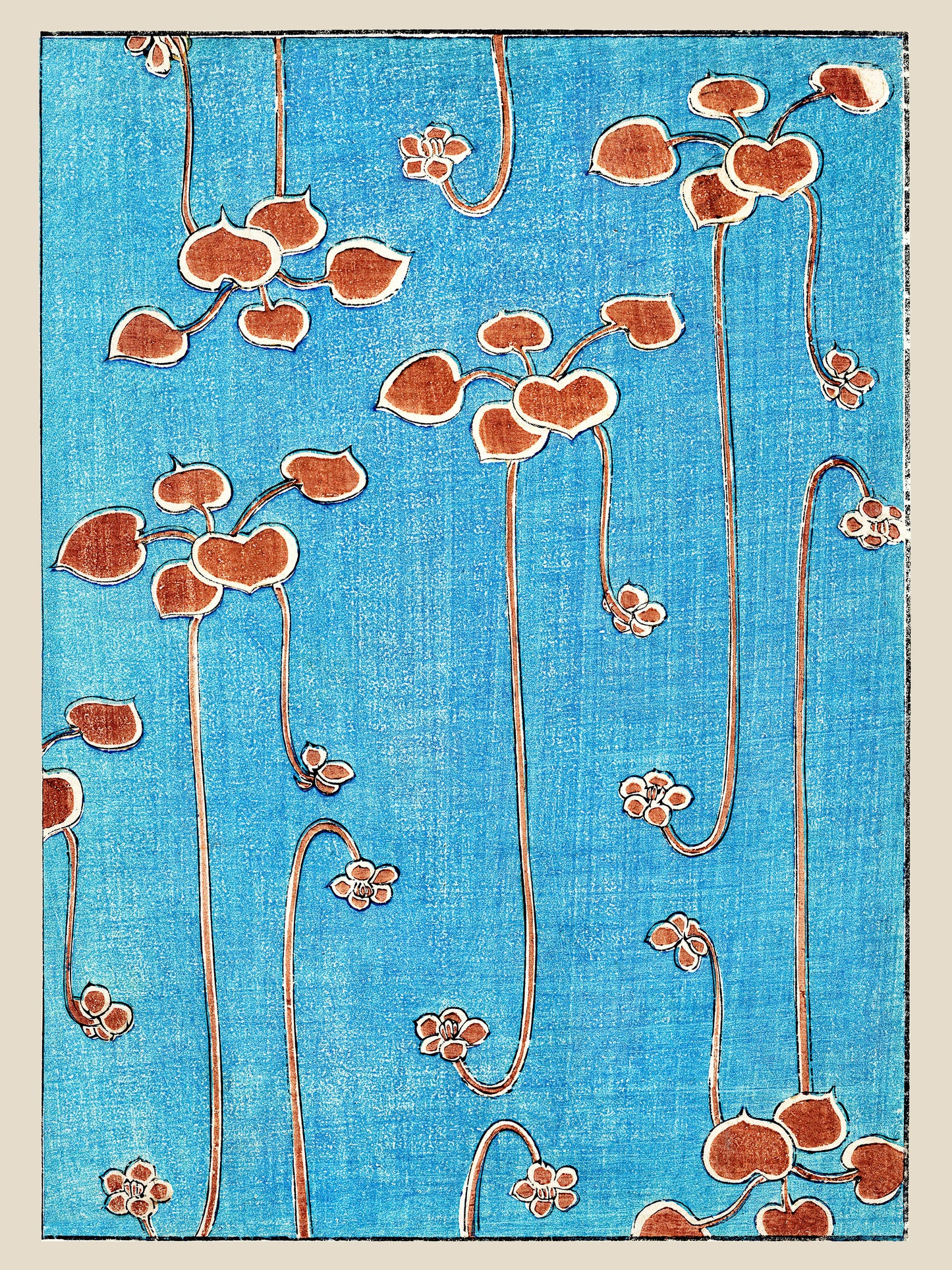 Vines - Watanabe Seitei